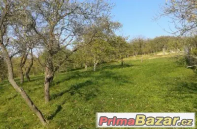 Stavební pozemek Židlochovice