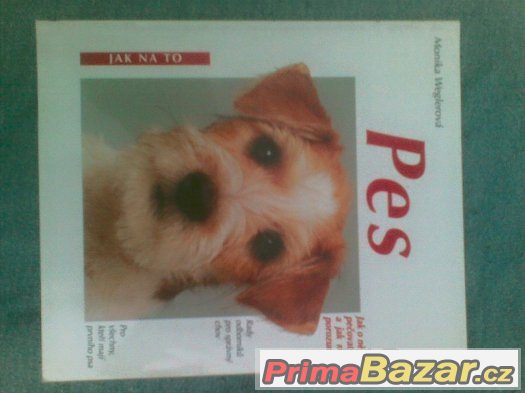 knihy o psech – fotografie 2