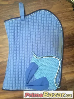 Sada aquateak