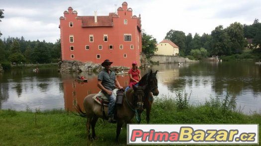 Nabízíme tábor pro dospělé do Jížních Čech – fotografie 2