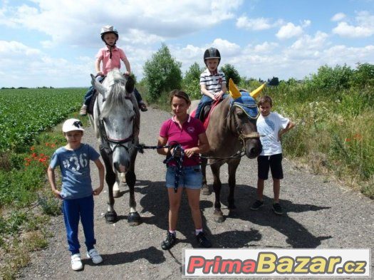 Příměstký tábor s koníkama a plavení s koníkama :) – fotografie 1