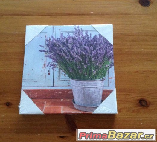 Obrázek levandule 20x20cm cca -novy – fotografie 1