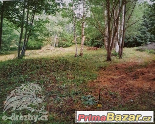 Pozemek o výměře 2220 m2, Deštné v Orlických horách, Jedlová – fotografie 2