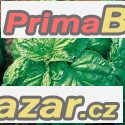 Bazalka Mamuth - semena – fotografie 1