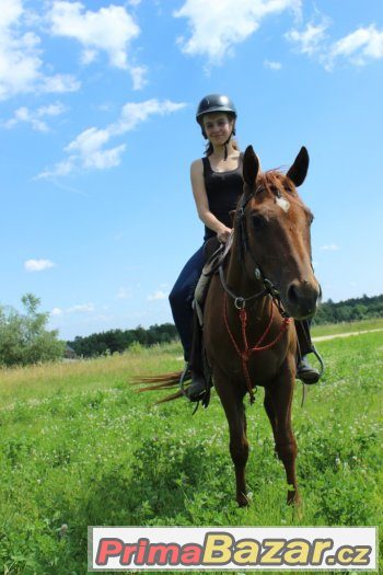 QH KLISNA 5let české i USA papíry – fotografie 3