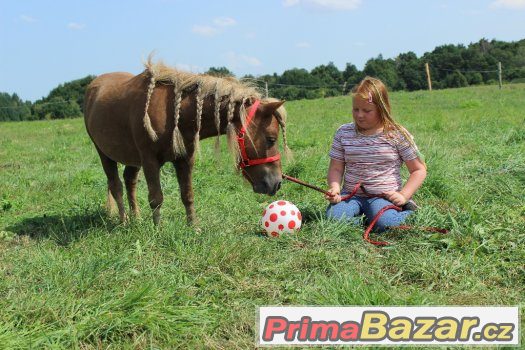 Valášek v typu minipony 90cm,4 roky – fotografie 3