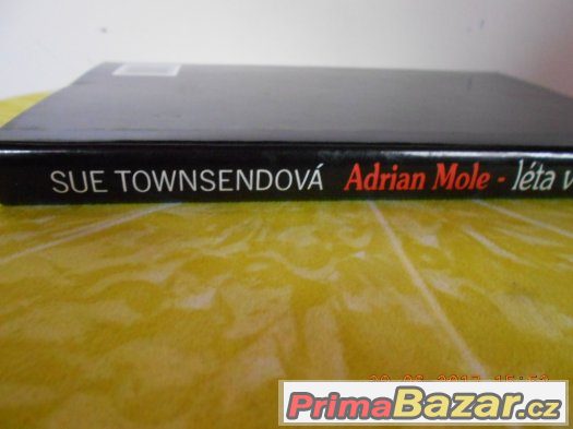 Knížka ADRIAN MOLE – fotografie 4