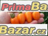 Rajče Santa Orange - semena – fotografie 1