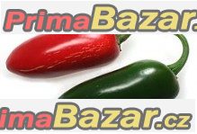 Chilli Jalapeňo - semena – fotografie 1