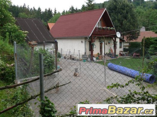 Psí školka - chovatelská stanice Vetřelec – fotografie 2
