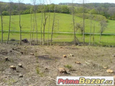 Osázený les - INVESTICE 16kč/m2