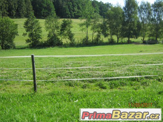 Dobrý den. – fotografie 5
