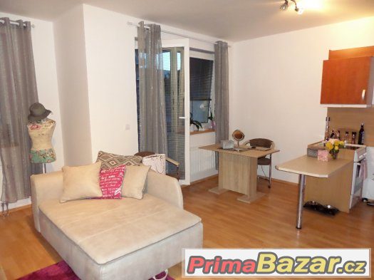 Pronájem bytu 1+kk,NOVOSTAVBA,terasa,Pardubice-Trnová – fotografie 1