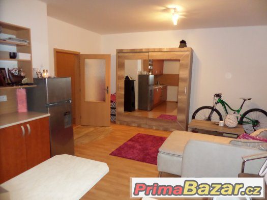 Pronájem bytu 1+kk,NOVOSTAVBA,terasa,Pardubice-Trnová – fotografie 3