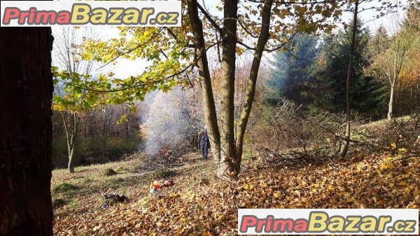 Likvidace náletů, keřů, stromů. Výškové práce – fotografie 8