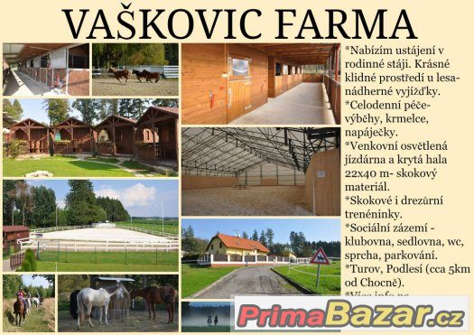 Ustájení – fotografie 3