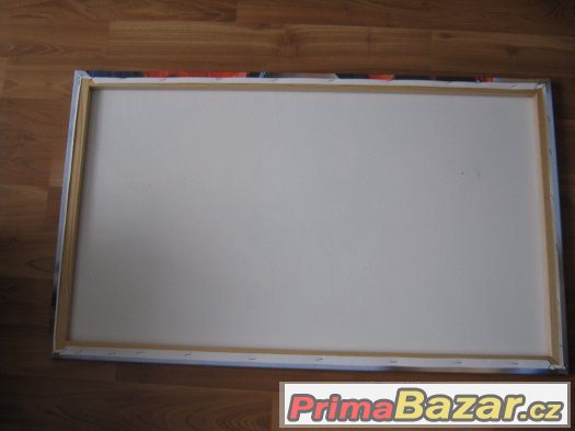Obraz na plátně papoušci – fotografie 2