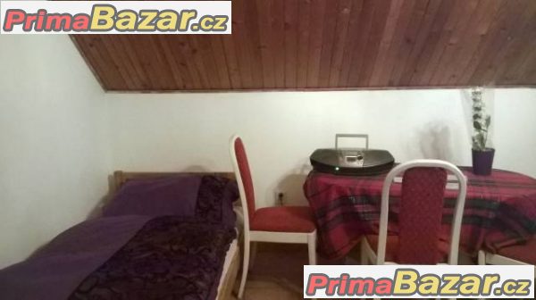 Pronájem podkroví v bezpečné plzeňské čtvrti – fotografie 4