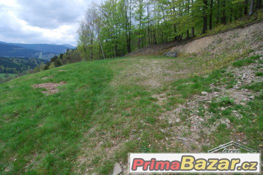 Prodej rozlehlý stavební pozemek, Morávka – fotografie 1