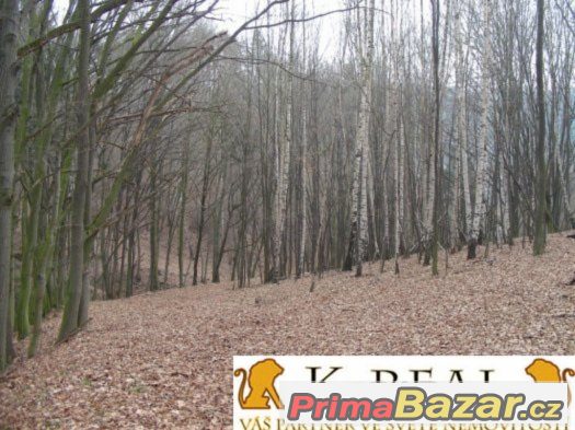 Prodej stavební pozemek Meziříčko, okr. Blansko – fotografie 2