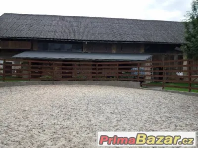 Ustájení, výcvik koní a jezdců u Mnichova Hradiště