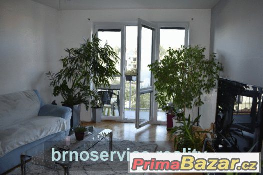 Prodej cihlového bytu 3+1 s terasou na Veveří Brno – fotografie 2