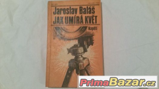 Jak umírá květ – fotografie 1