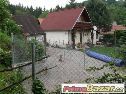 Hlídání psů - ubytování v psím hotelu AX – fotografie 2