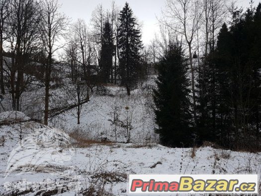 Pozemek pro výstavbu (1.636 m2), Horní Údolí, obec Zlaté Hor – fotografie 2