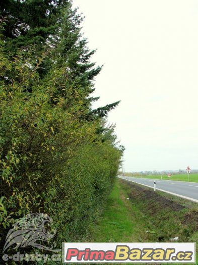 Pozemek (2.395 m2) a chata (45 m2), Hradec Králové, Písek, P – fotografie 2
