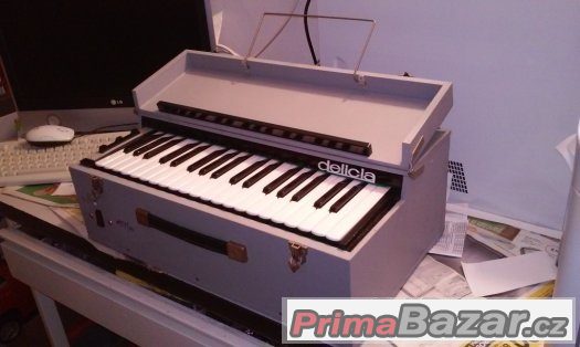 Klávesy Delicia Mini 700 – fotografie 2