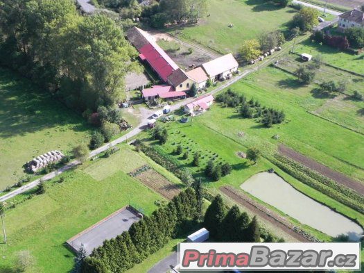 práce u koní -Kroměřížsko – fotografie 2