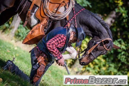 Hledám valacha  na vystupování věk 5-8  let KHV 155-160cm – fotografie 3