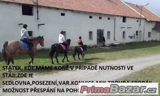 LEVNÉ USTÁJENÍ – fotografie 5
