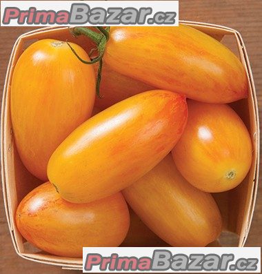 Rajče Blush Tiger - semena