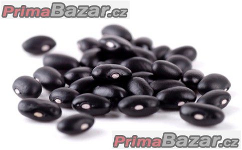 Fazol Blue Lake a Grano Nero - semena