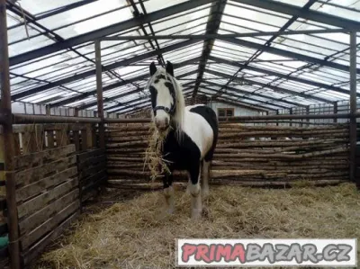 Zahradní domek a ustájení