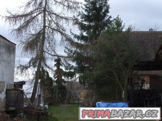 RD-bývalá zem.usedlost – fotografie 3