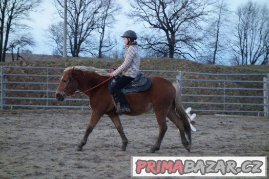 Prodám klisnu 3 roky , výška 142 cm , haf x APPA – fotografie 2