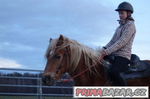 Prodám klisnu 3 roky , výška 142 cm , haf x APPA – fotografie 4