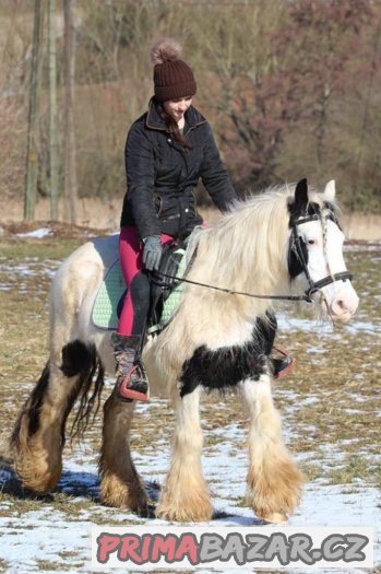 Spolehlivá kobylka irského coba do terénu – fotografie 1