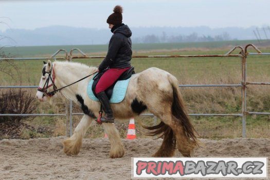 Spolehlivá kobylka irského coba do terénu – fotografie 3