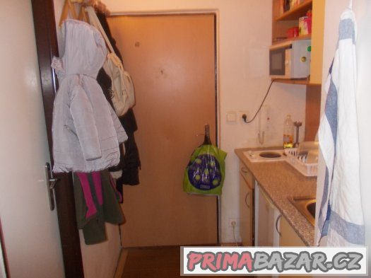 Prodej byt DB 1+kk Brno - Líšeň, Jedovnická – fotografie 4
