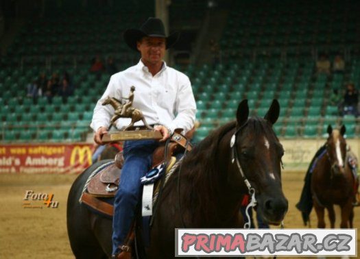 Připouštění QH - GEE RONNIE MO – fotografie 4