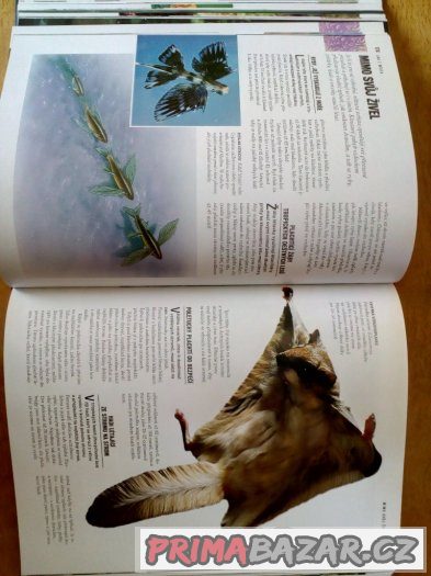 1000 divů přírody – fotografie 4