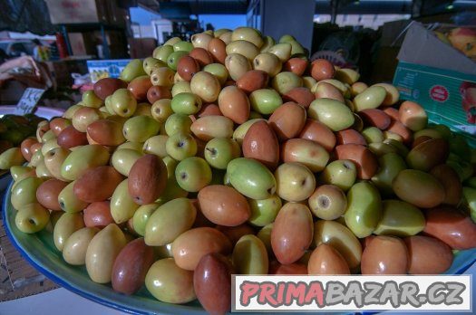 Jujuba ( Zizyphus mauritiana ) - semena 5 ks – fotografie 3