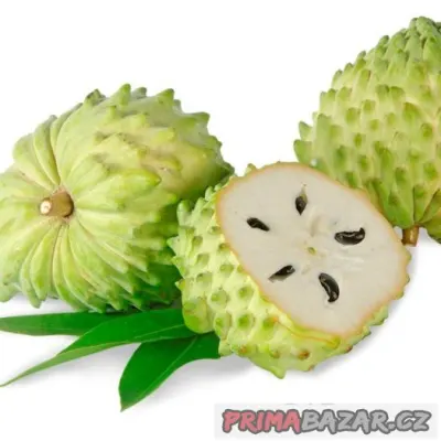 Annona squamosa ( anona šupinatá ) - semena 5 ks