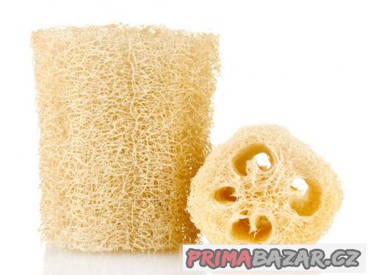Lufa ( Luffa acutangula ) - semena 5 ks – fotografie 2