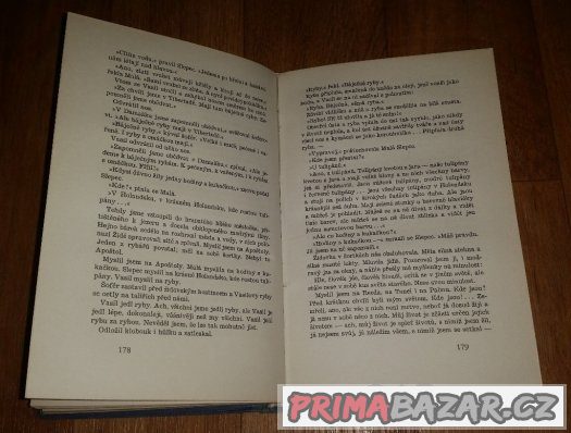 Prodám knihu Vracím se z Babylónu – fotografie 4