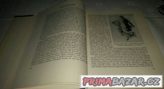 Prodám knihu Josef Václav Myslbek. – fotografie 3